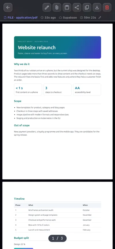 手机上的三页 PDF,带页码计数